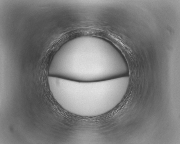 X0000116131447200911230941