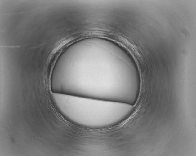 X0000116131453200911230941