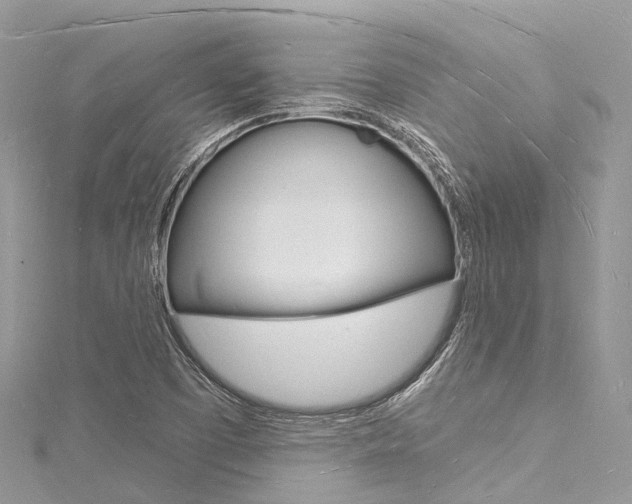 X0000116131457200911230941
