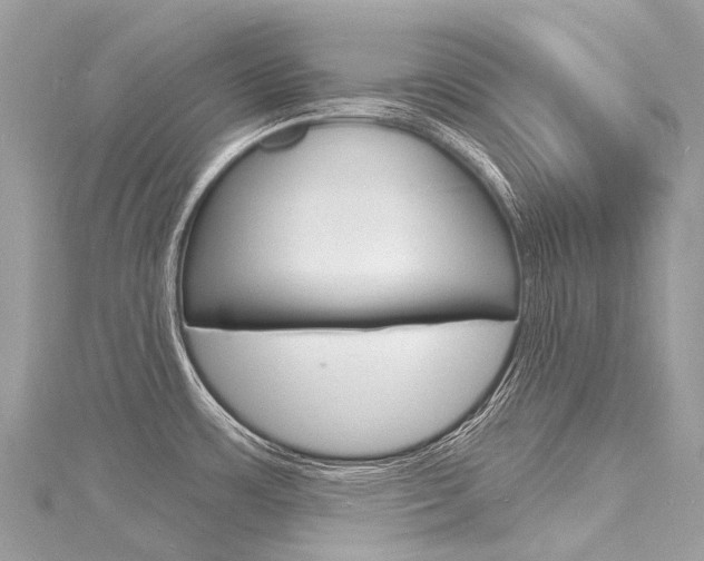 X0000116131483200911230941