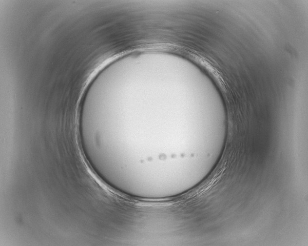 X0000116131487200911230941