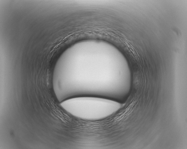 X0000116131490200911230940