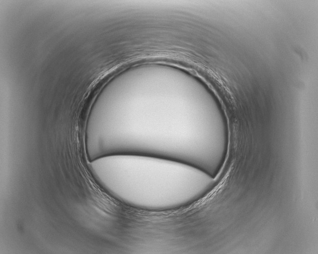 X0000116131497200911230940