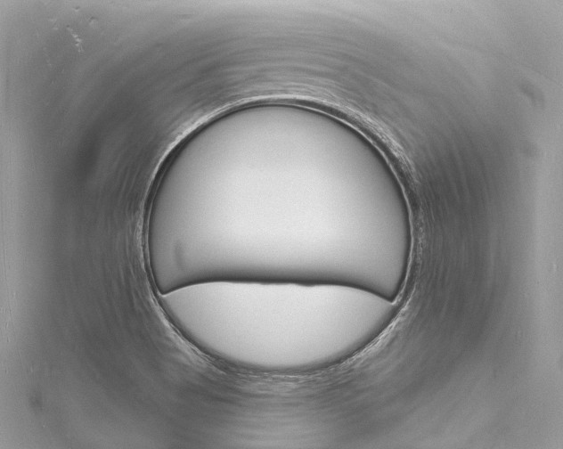 X0000116131513200911230941