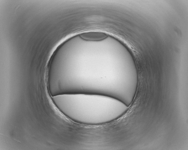 X0000116131526200911230941