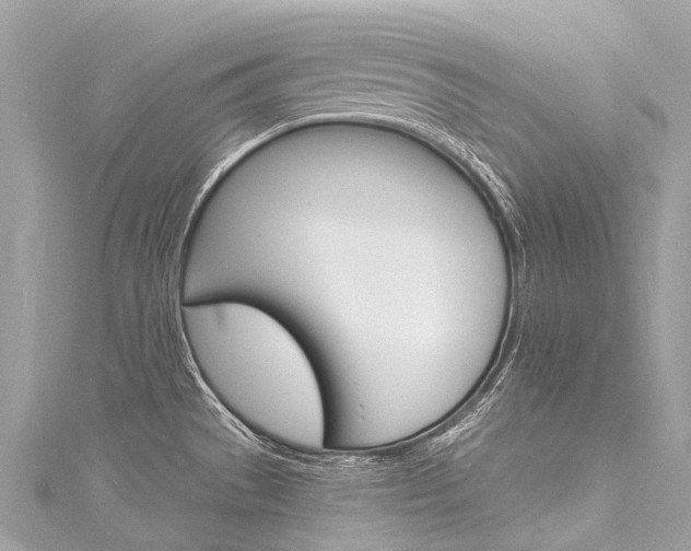 X0000116131529200911230941
