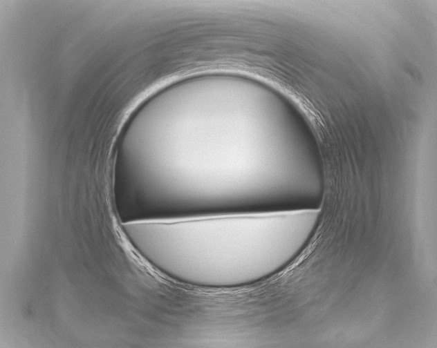 X0000116131534200911230941