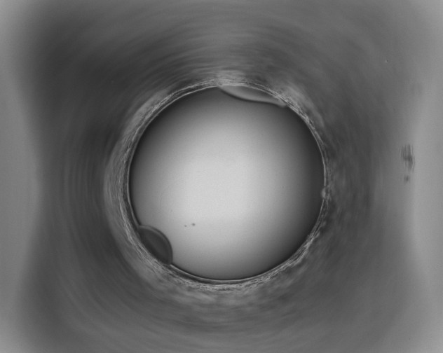 X0000116130001200911231244