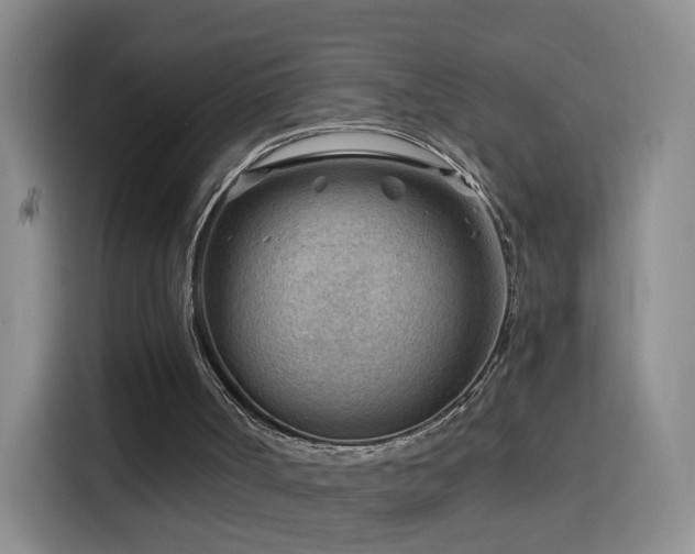 X0000116130002200911231244