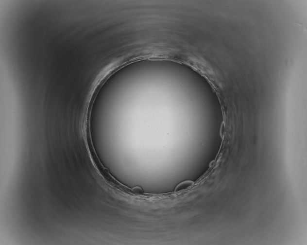 X0000116130003200911231244