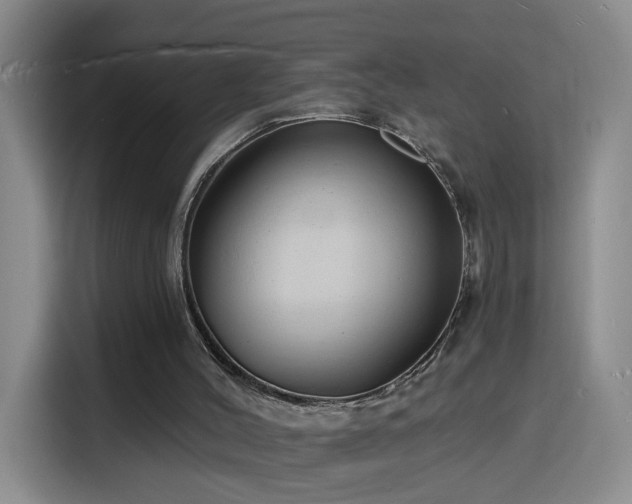 X0000116130004200911231244