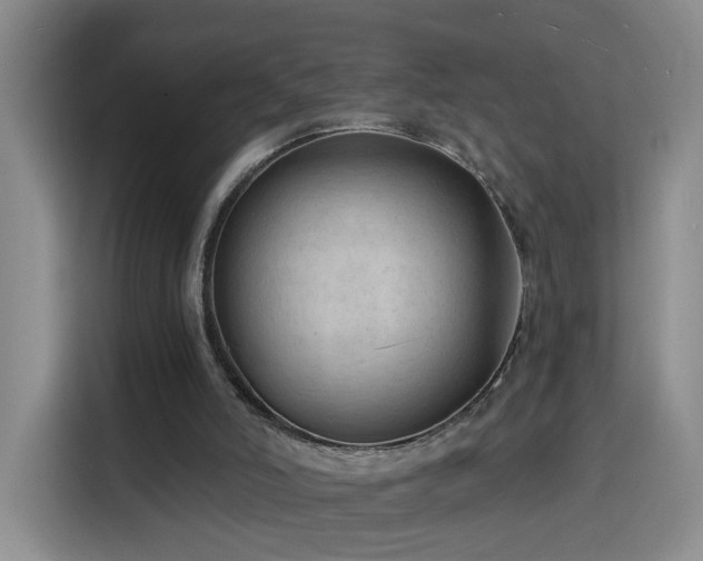 X0000116130006200911231244
