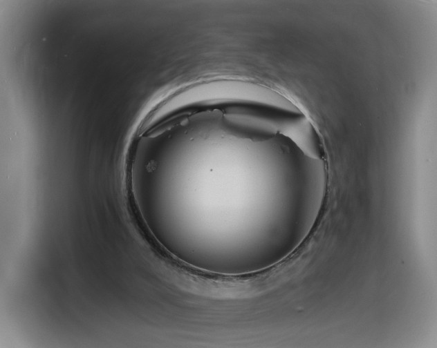 X0000116130008200911231244
