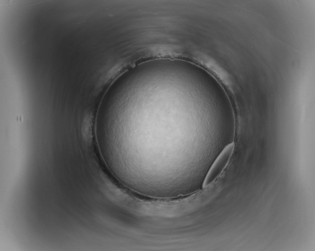 X0000116130009200911231244