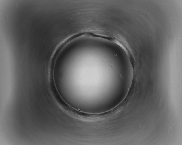 X0000116130012200911231244