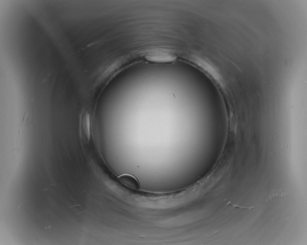 X0000116130013200911231244