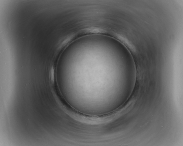 X0000116130014200911231244