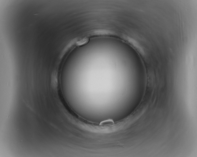 X0000116130015200911231244