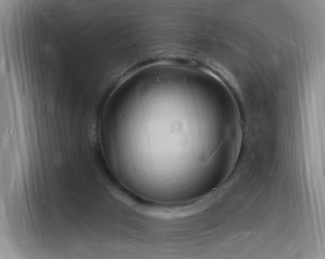 X0000116130017200911231244