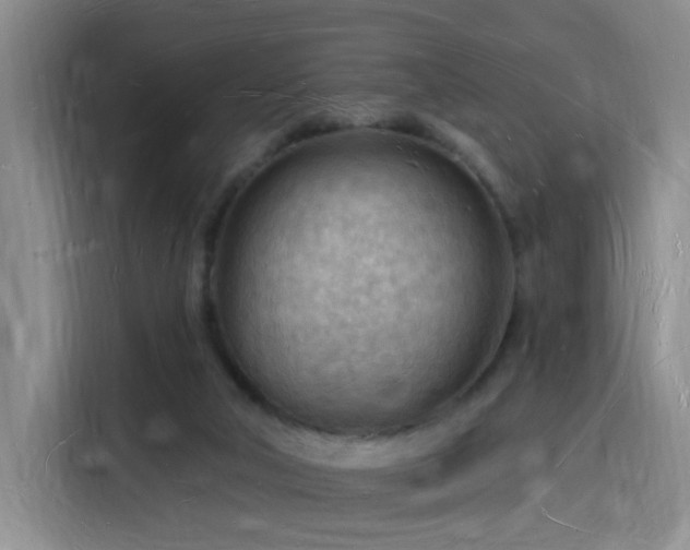 X0000116130018200911231244