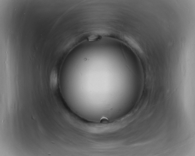 X0000116130021200911231244