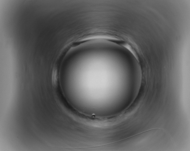 X0000116130024200911231244