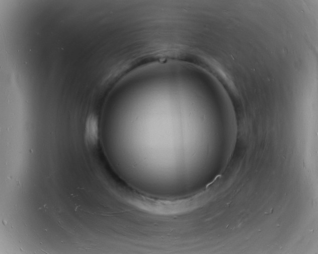 X0000116130027200911231244