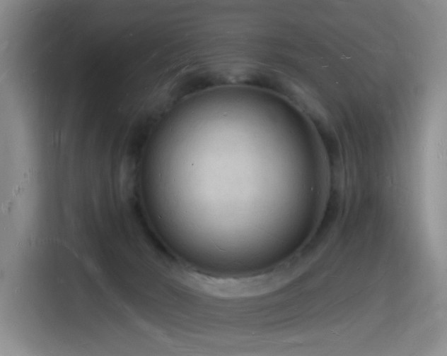 X0000116130030200911231244