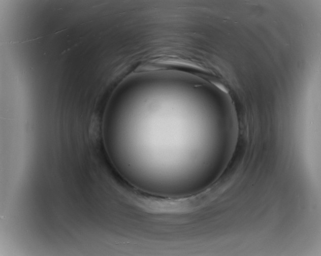 X0000116130036200911231244