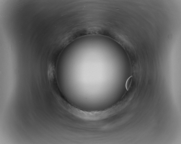 X0000116130038200911231244