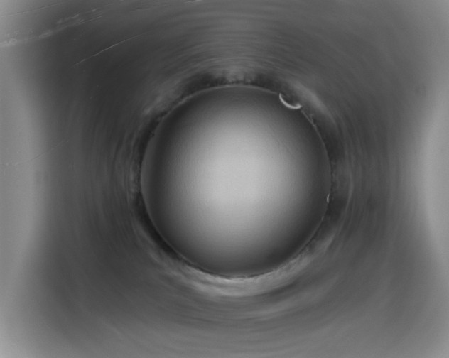 X0000116130039200911231244