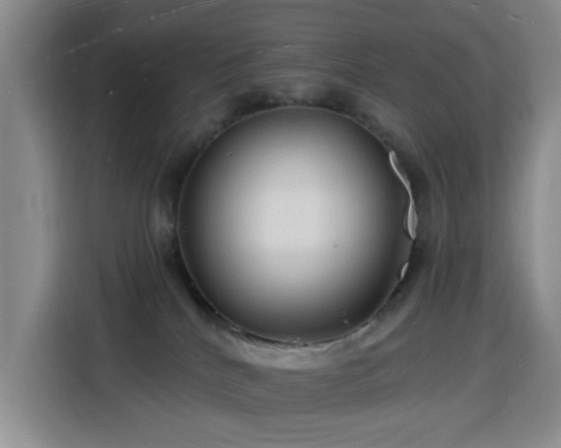 X0000116130040200911231244