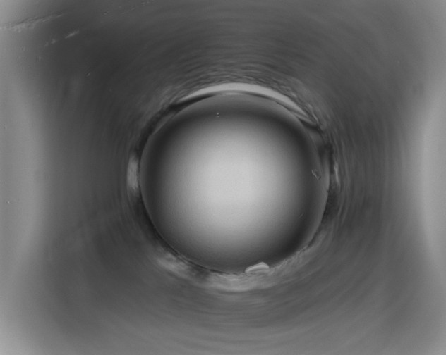 X0000116130041200911231244
