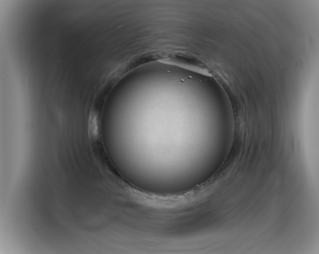 X0000116130042200911231244
