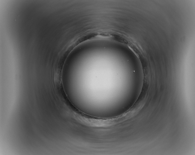 X0000116130044200911231244