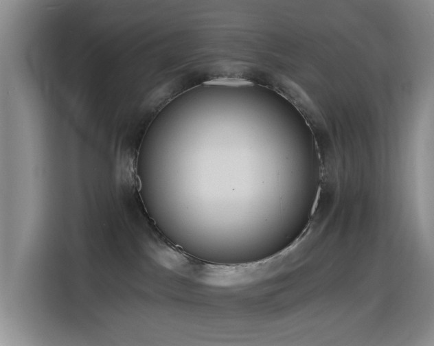 X0000116130045200911231244