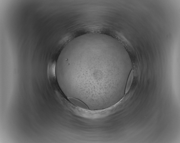 X0000116130047200911231244