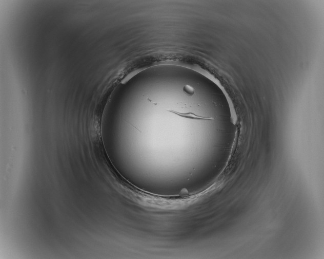 X0000116130048200911231244