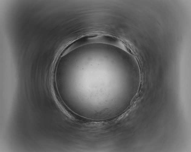 X0000116130049200911231243
