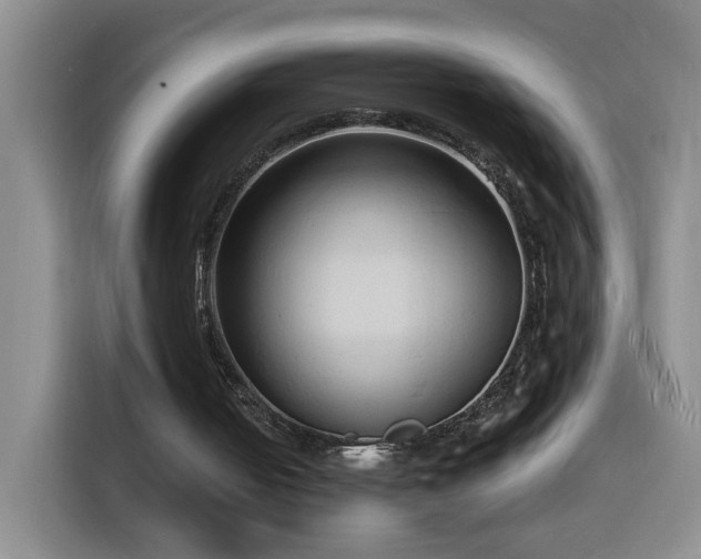 X0000116130050200911231243