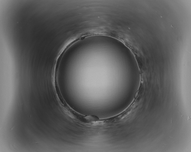 X0000116130052200911231243