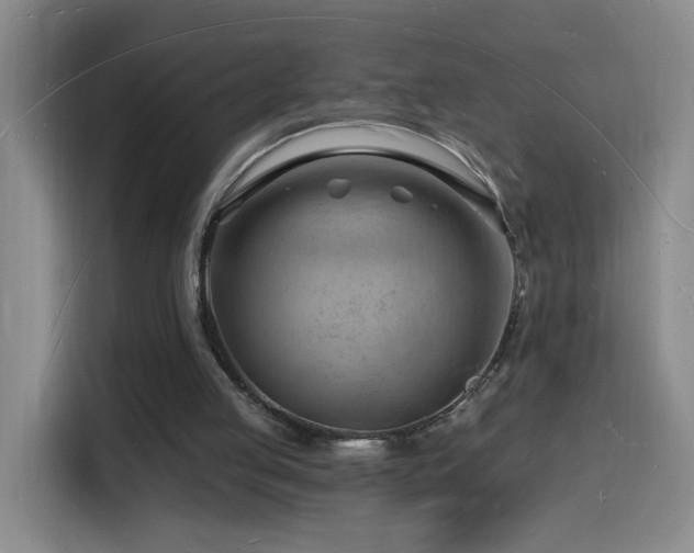 X0000116130053200911231243