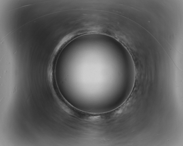 X0000116130054200911231243