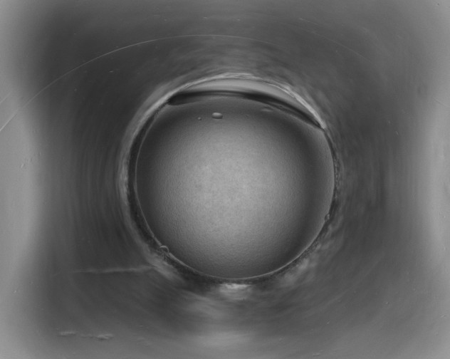 X0000116130055200911231243