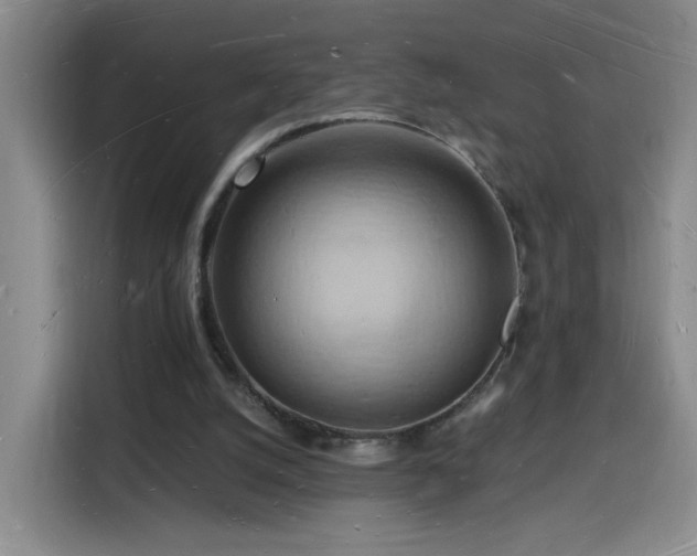 X0000116130056200911231243