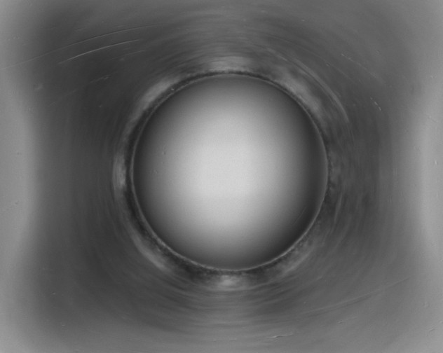 X0000116130060200911231243