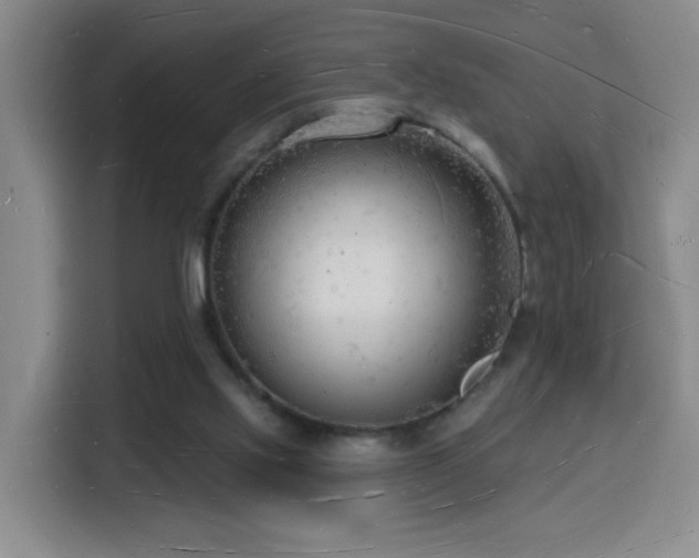 X0000116130061200911231243