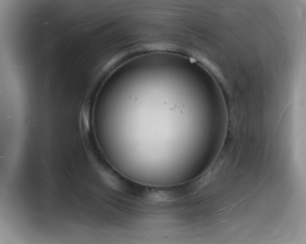 X0000116130062200911231243
