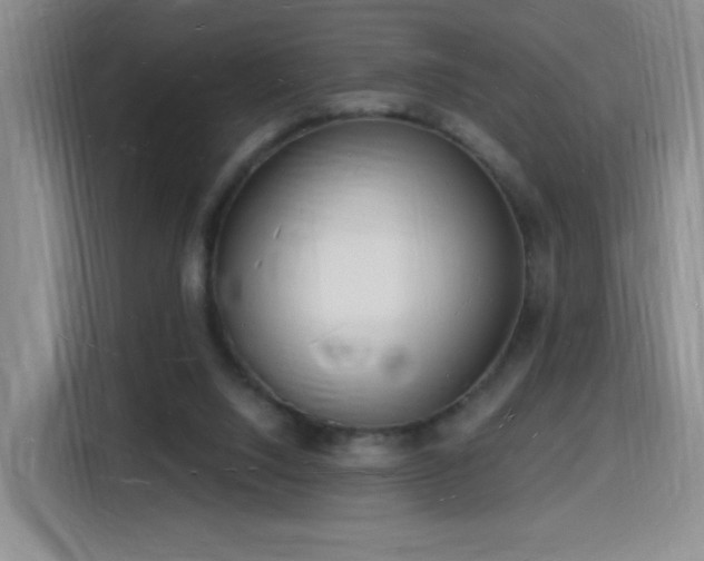 X0000116130064200911231243