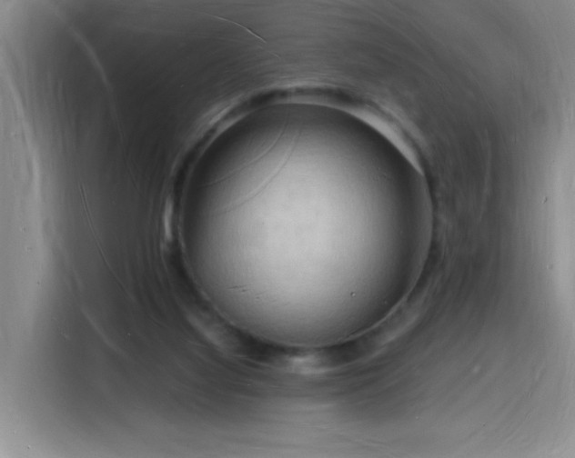 X0000116130068200911231243